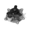 DODGE 4781157AC Water Pump